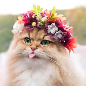 I’m cleaning out my closet, make some offers!